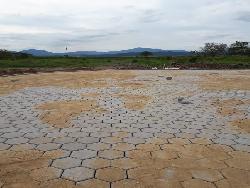 Área para Venda em Tijucas - 5