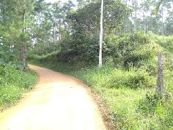 Chácara para Venda em Tijucas - 4