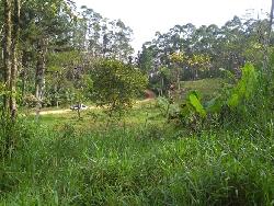 Chácara para Venda em Tijucas - 5