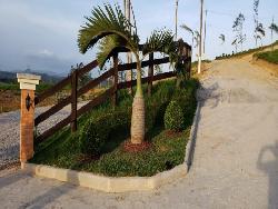 Chácara para Venda em Canelinha - 5