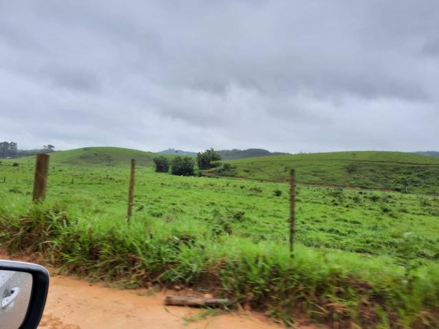 Fazenda para Venda em Tijucas - 5