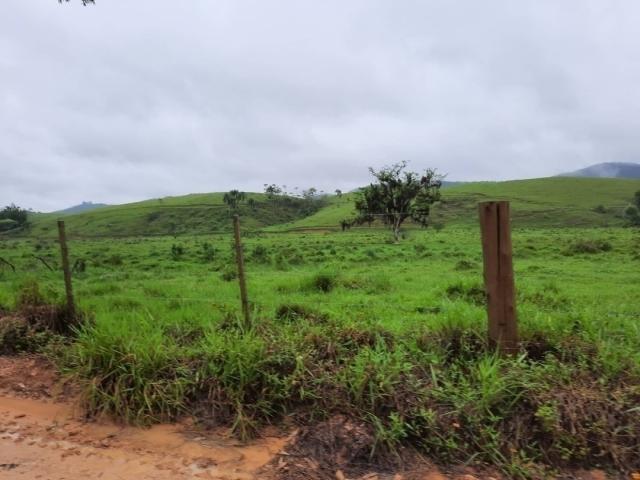 Fazenda para Venda em Tijucas - 4