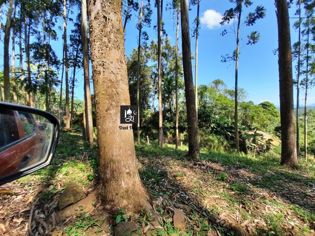 Fazenda para Venda em Tijucas - 4
