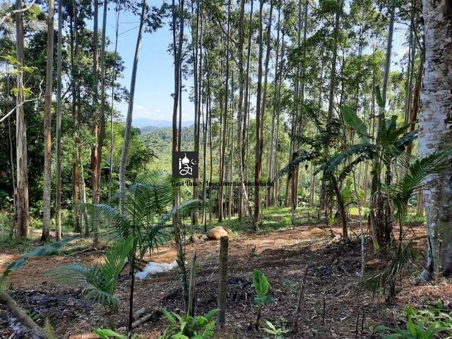 Fazenda para Venda em Tijucas - 5