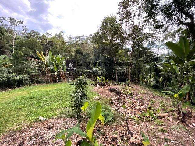 #230 - Chácara para Venda em Itapema - SC - 1