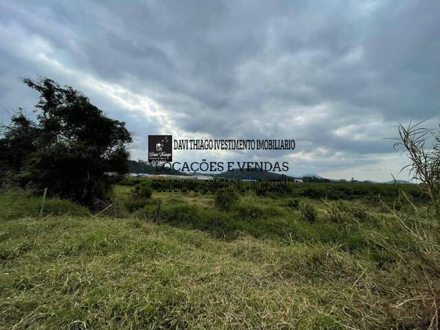 Área para Venda em Tijucas - 4