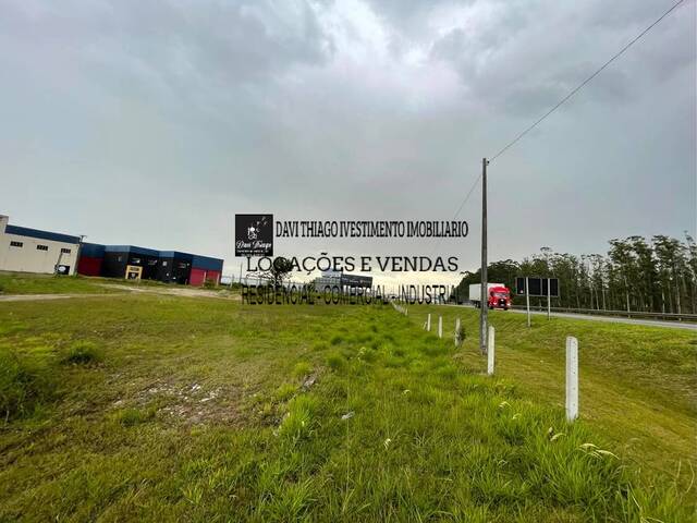 Área para Venda em Tijucas - 4