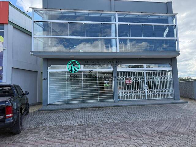 #444 - Sala para Locação em Canelinha - SC - 3