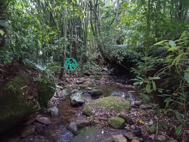 #467 - Chácara para Venda em Tijucas - SC - 3